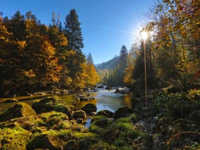 sun shining on autumn trees, mountain and calm river