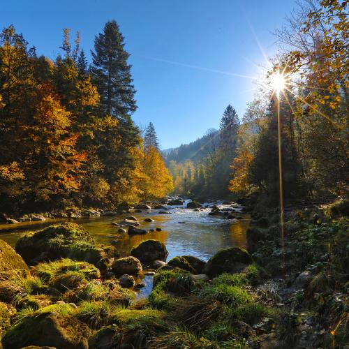sun shining on autumn trees, mountain and calm river